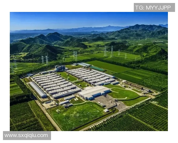 梅里诺羊绒的魅力与价值探秘：从养殖到时尚的全景解析